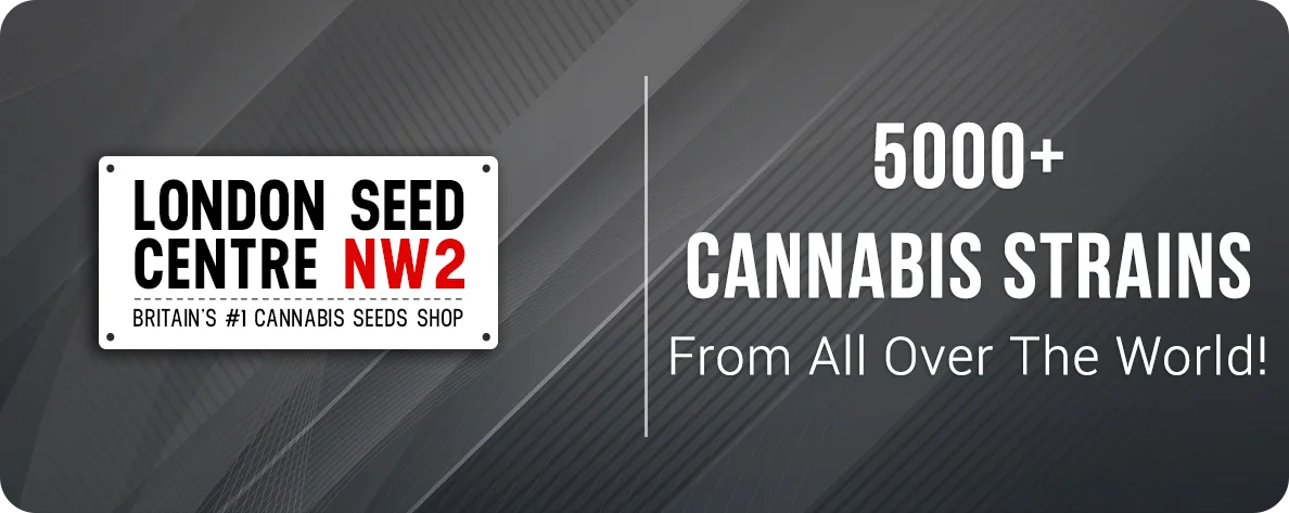 5000+ Cannabis Strains From London Seed Centre